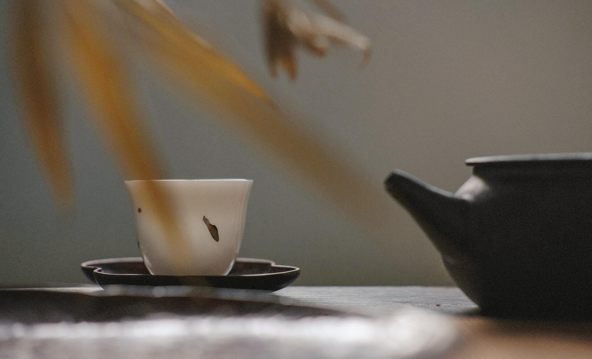 [21.08.13] お茶文化を通じて、網島と天満橋を繋ぐ