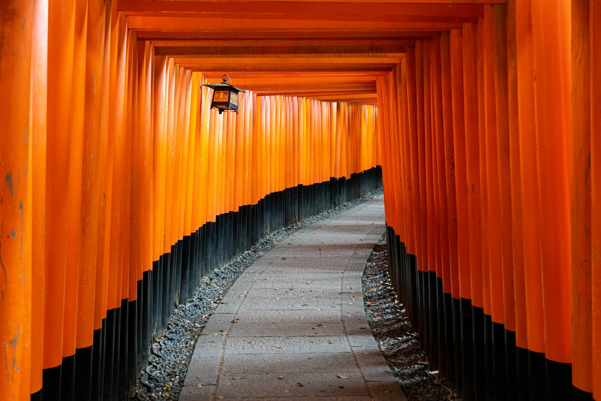 [21.03.06] 京都の魅力をより広く、深く伝える